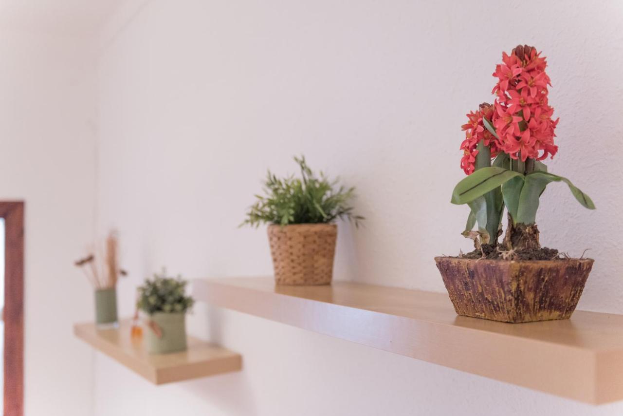 Sweet Bcn Studio With Terrace 巴塞罗那 外观 照片